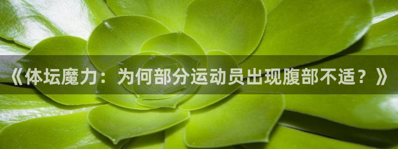 77体育官网