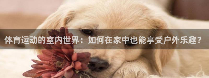 77体育app下载官网