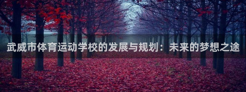 77体育