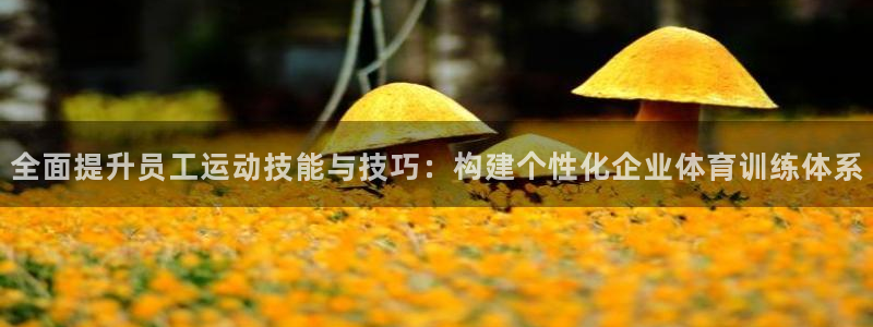 77体育app下载官网