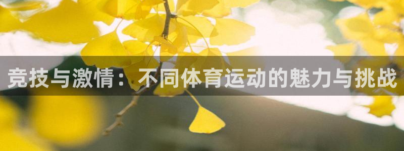 77体育