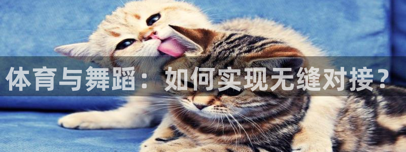 77体育