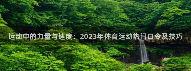 77体育官网