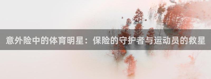 77体育app下载官网