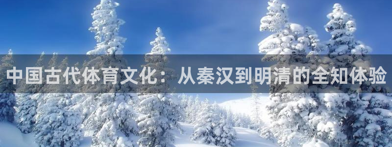 77体育官网