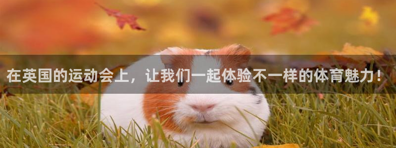 77体育app下载官网